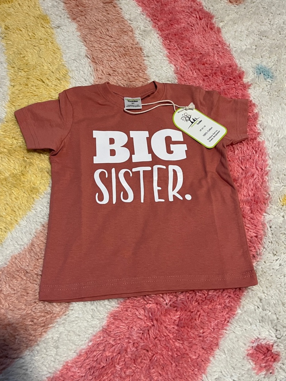 Big Sister Tee in Rust - Kids Short Sleeve Shirt